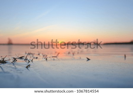 Grass frozen in the ice in the field at sunset clear gradient sky on a spring day