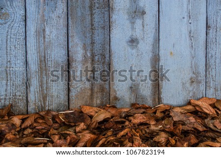 Texture of old wooden fence painted in blue color