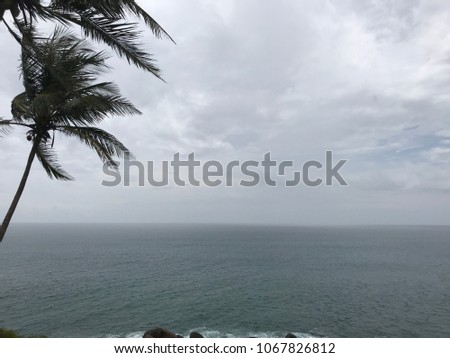 Image of ocean and palms in cloudy weather.