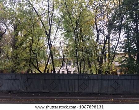 An old rickety wooden fence and trees behind it. Autumn in Russia.