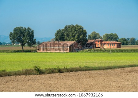 Rural landscape along the Po cycle path near Guardamiglio and San Rocco al Porto (Lodi, Lombardy, Italy) at summer