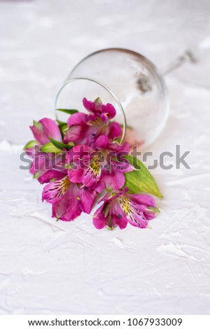 Alstroemeria with a glass of rose wine on a white concrete background
