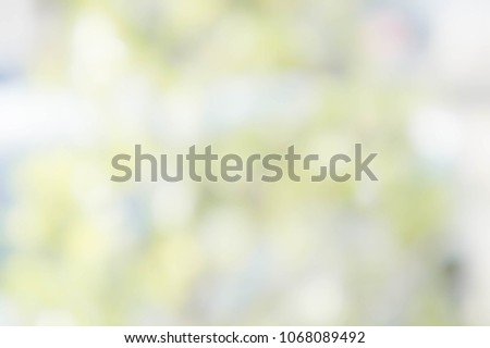 abstract green and white nature blur background