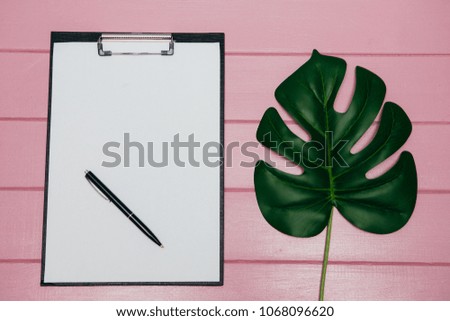 Monstera leaves and notepad on a pink background