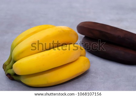 Branch of ripe yellow bananas and two black rotten bananas on a gray background. The concept of youth and old age. The concept of life and death.