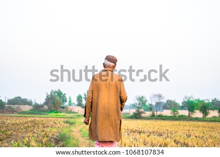 poor Pakistani villager is walking with stick on a gravel road between the rice fields after harvest and he is wearing Pakistani traditional clothes