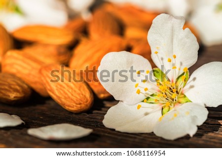 Almonds and white flowers on dark wooden surface
