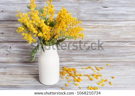 A bouquet of mimosa flowers in a white ceramic vase on wooden table. Yellow acacia in the vase is still life. Selective focus.