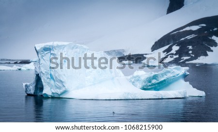 Leaping penguin swimming towards a large iceberg with Cuverville Island in the background, Antarctic Peninsula.