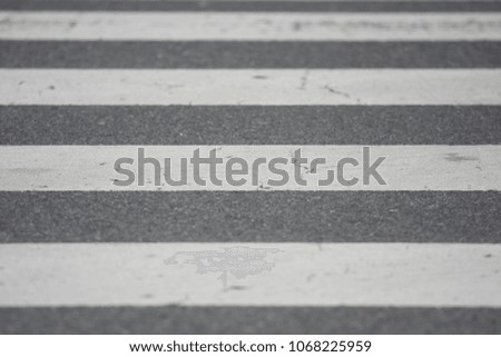 Zebra striped background