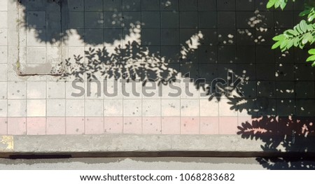 The shade of a tree on a sunny day on the walkway is used as a shade.