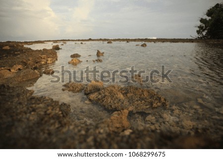 wide angle photography of rocky coastline with clear water on a summer day, outdoors in Tunisia, Africa