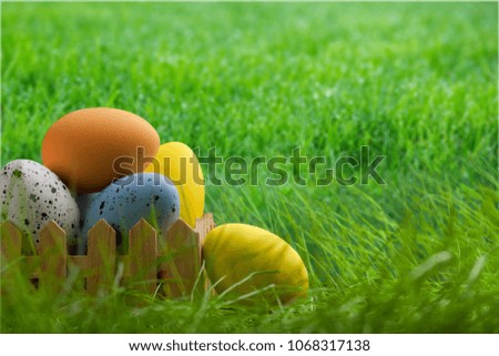 Colorful easter holiday eggs on grass