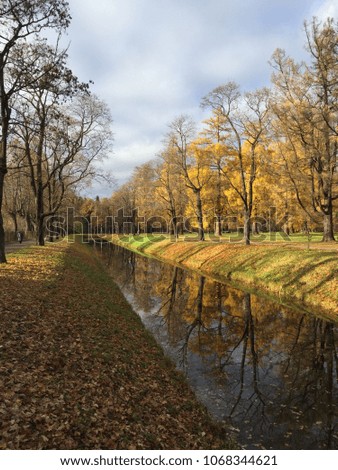 Autumn park pond