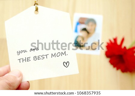 you are the best mom - message on the card with the background of mother holding a baby and red flower. The concept of mother day 