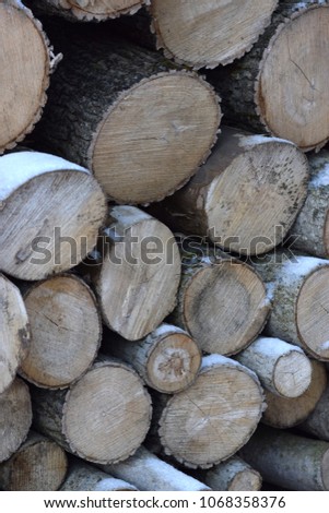 Stacked log closeups with wood grain and snow. 