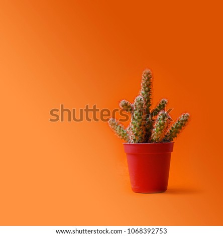 Cactus in a pot fashion design.Trendy minimal pop art style and pastel colors background