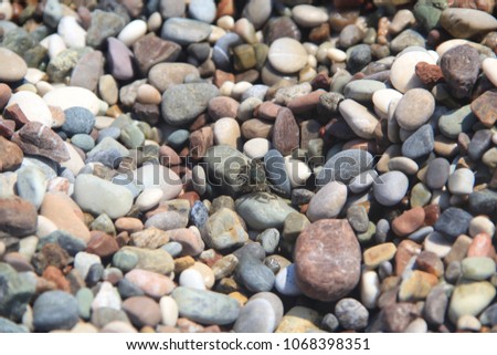 Pebble beach of the sea