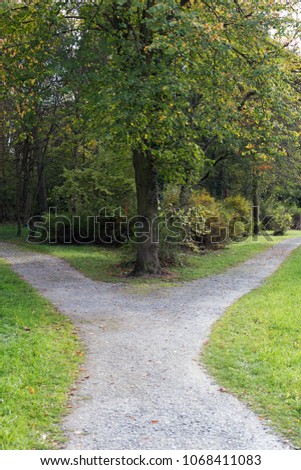 Right or left. A fork in the road in a forest Royalty-Free Stock Photo #1068411083
