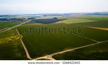 aerial Wheat Field  