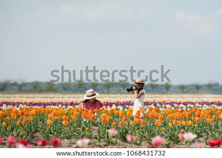 Mother and daughter taking pictures in a tulip field