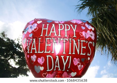 Red Happy Valentine's Day Balloon with White Letters and Various Colored Flower Decorations Lit by Flash Outdoors Against Florida Palm Trees and Sunlit Sky