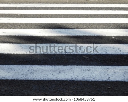 Pedestrian zebra crossing