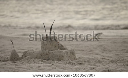 Neutral colored sand castle on beach with bird and blurry background for text