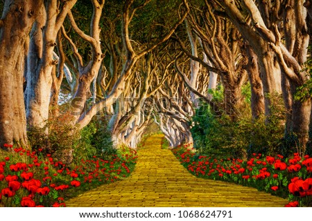 The yellow brick road leading into a scary forest. See the faces in the trees! Royalty-Free Stock Photo #1068624791
