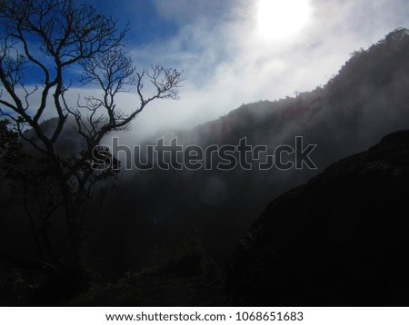 kauai mountain hiking, hawaii ridge trekking, pacific ocean, above clouds
