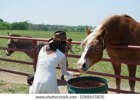 Asian woman feeding a large horse in North Texas, USA