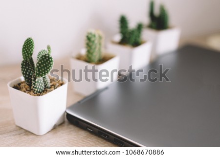 CACTUS WITH LAPTOP ON THE TABLE