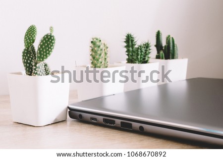 CACTUS WITH LAPTOP ON THE TABLE