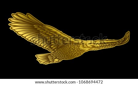 Golden eagle vector illustration