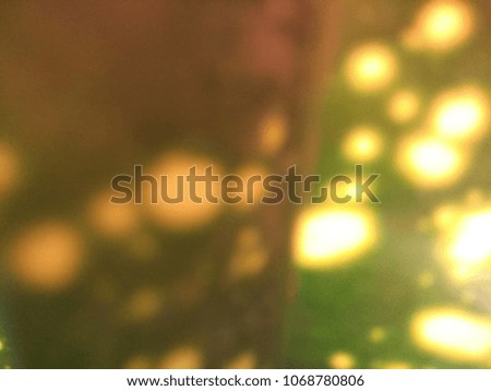 Abstract out of focus lights coming from the mother nature with abstract background of Multicolor Colorful Leaf. Abstract background of Red, Purple,Blue,  Yellow, Green and White color. 