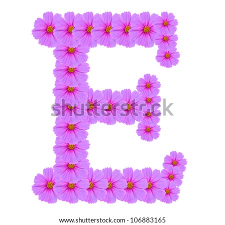 Alphabet E, Cosmos flower alphabet isolated on white