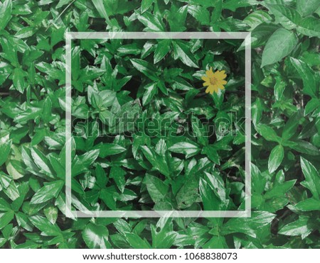 Greenery leafs texture background and white clipping path creative border. Concept for vacation and nature lifestyle