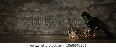 low key image of beautiful queen/king crown and black crow. fantasy medieval period. Selective focus Royalty-Free Stock Photo #1068840206