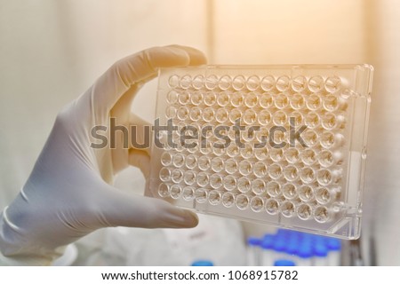 Screening the cell cytotoxicity by MTT assay in 96well plate. Mtt is used to study the cell viability measure of cellular activity as an indicator of cell damage or cytotoxicity.                       Royalty-Free Stock Photo #1068915782