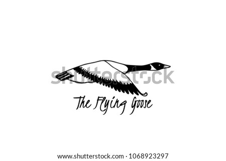 Vector illustration of hand drawn flying wild goose. Beautiful animal design elements, ink drawing.