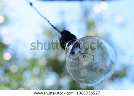 old light bulb hanging down a tree in steets