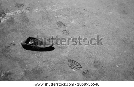 black and white image of one shoe on streets