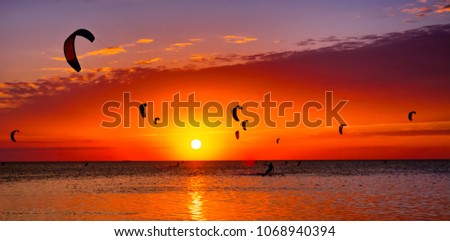 Kite-surfing against a beautiful sunset. Many silhouettes of kites in the sky. Holidays on nature. Artistic picture. Beauty world.