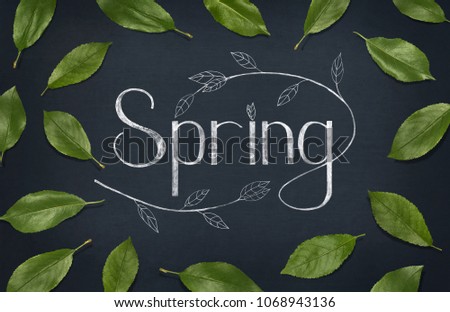 Spring hand sketched logo. Spring season lettering with green leaves on blackboard background. Top view, flat lay