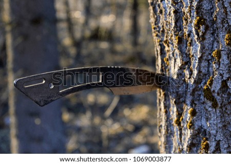 knife for throwing