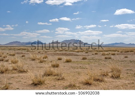 blue sky over the vast Mongolian steppes. moumtain at horizon