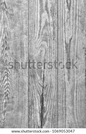 Old Weathered Rotten Cracked Knotted Bleached Gray And Varnished Pinewood Planks Flaky Grunge Texture Detail