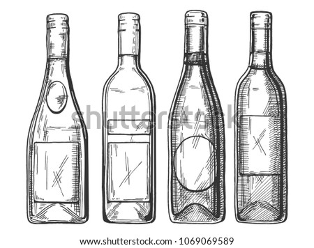 Vector illustration of a different red and white wine and champaign bottles set. Vintage engraving style. Royalty-Free Stock Photo #1069069589