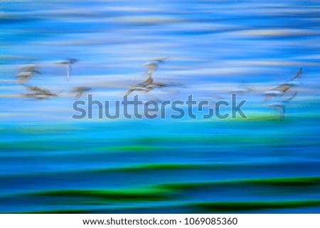 Abstract Nature. Motion blur. Natural background.  
