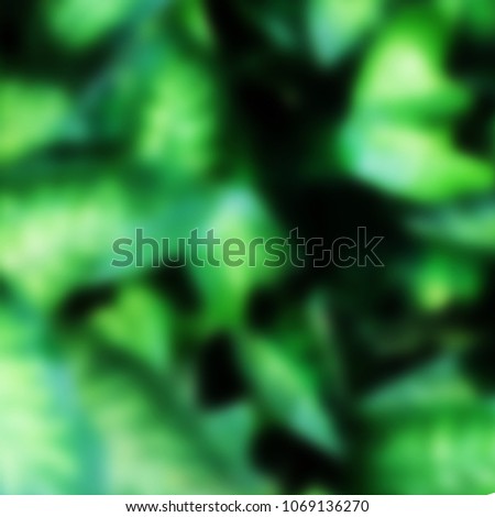 Nature Leaves Background for Wedding Cards, Invitation Cards, Poster, Summer and Autumn Purpose